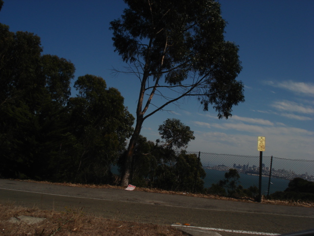 gal/2007 California/picture_026.jpg